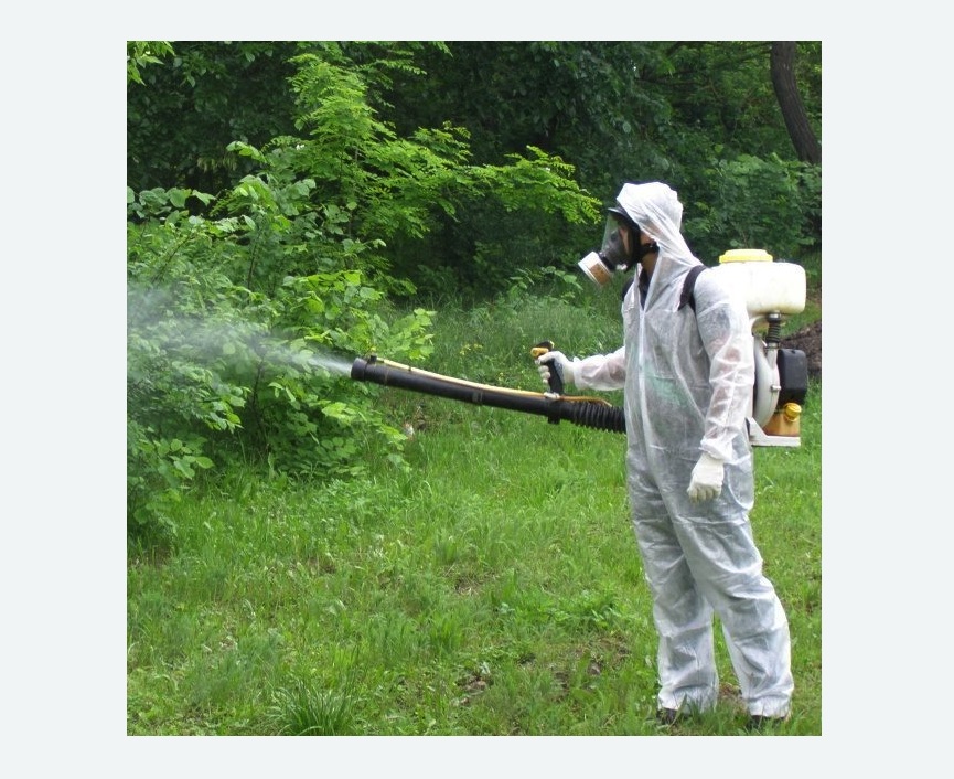 обработка территории от клещей в Катав-Ивановске