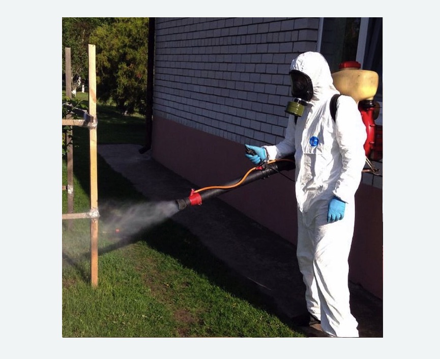 травля клещей на участке в Катав-Ивановске