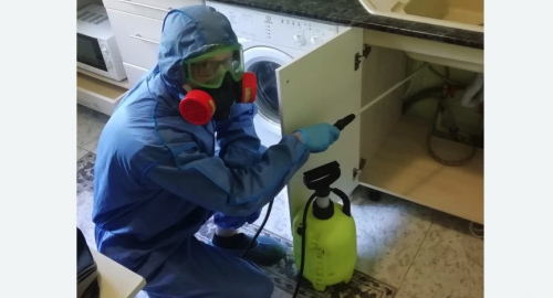 Уничтожение муравьев в квартире. Катав-Ивановск