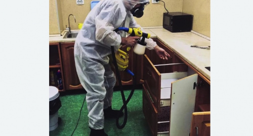 Уничтожение насекомых в квартире. Катав-Ивановск