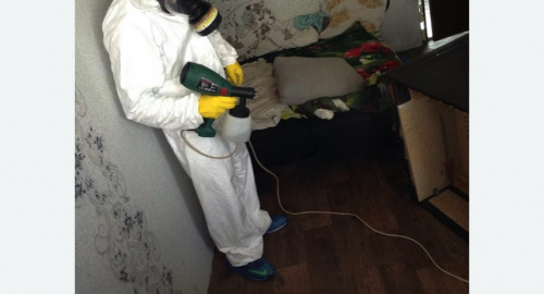 Обработка квартир от насекомых в Катав-Ивановске