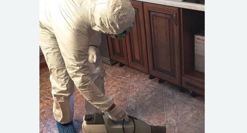Уничтожение тараканов в квартире. Катав-Ивановск