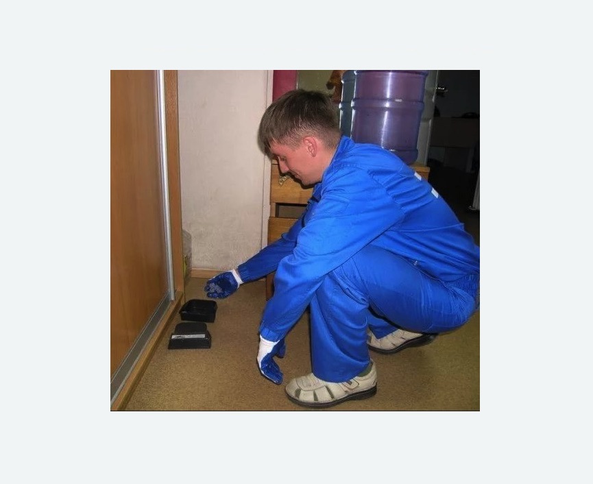 Дератизация крыс в Катав-Ивановске