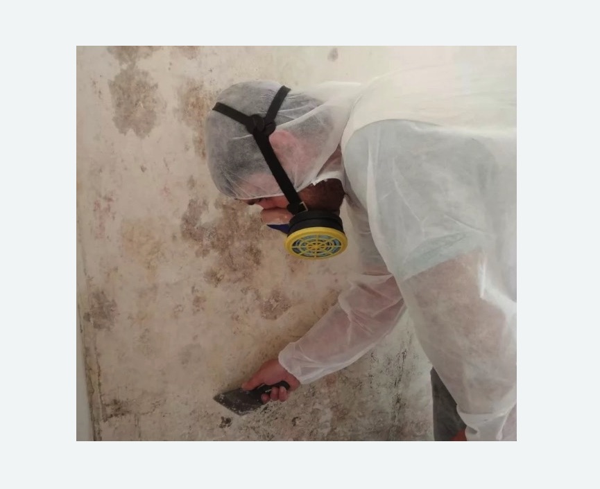 Обработка стен от плесени в Катав-Ивановске