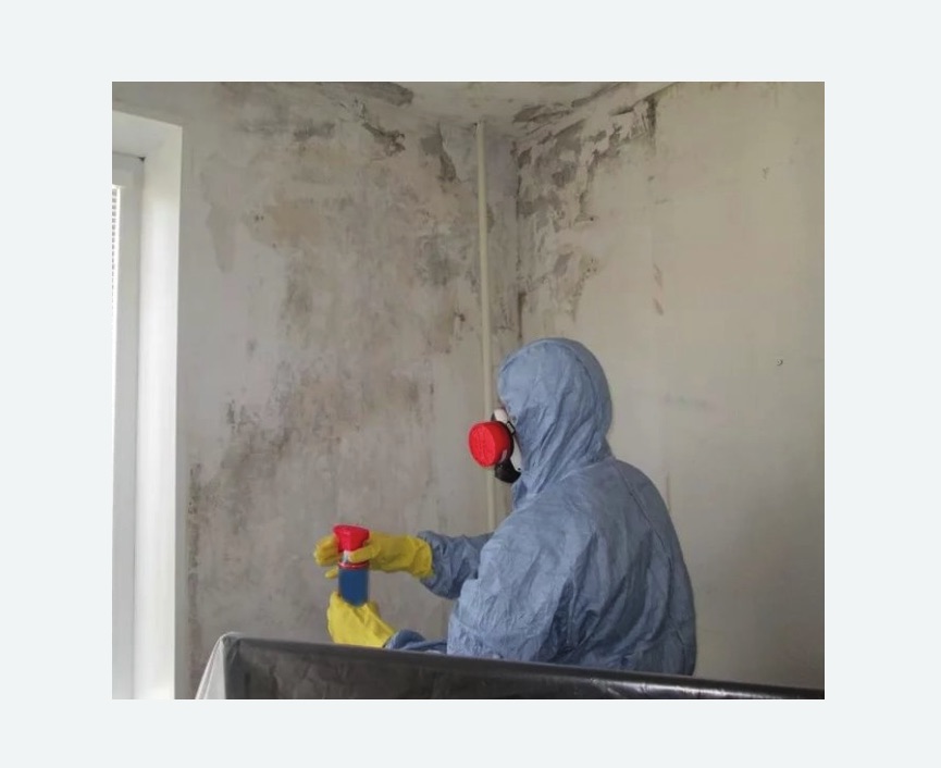 Удаление плесени в квартире в Катав-Ивановске