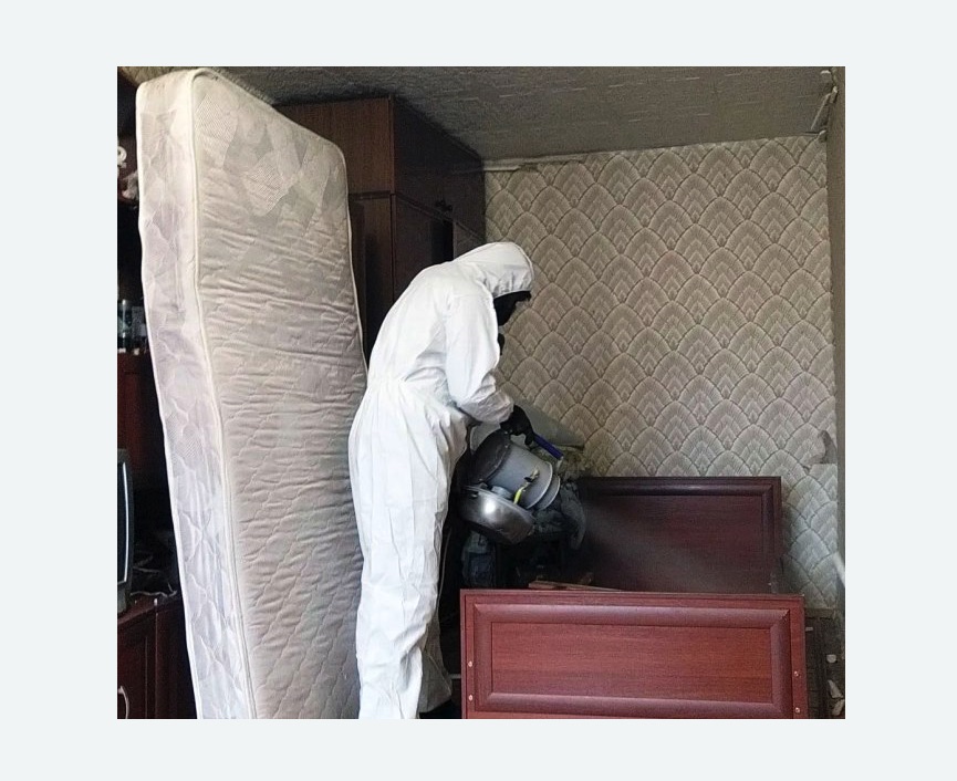 дезинфекция от клопов в Катав-Ивановске