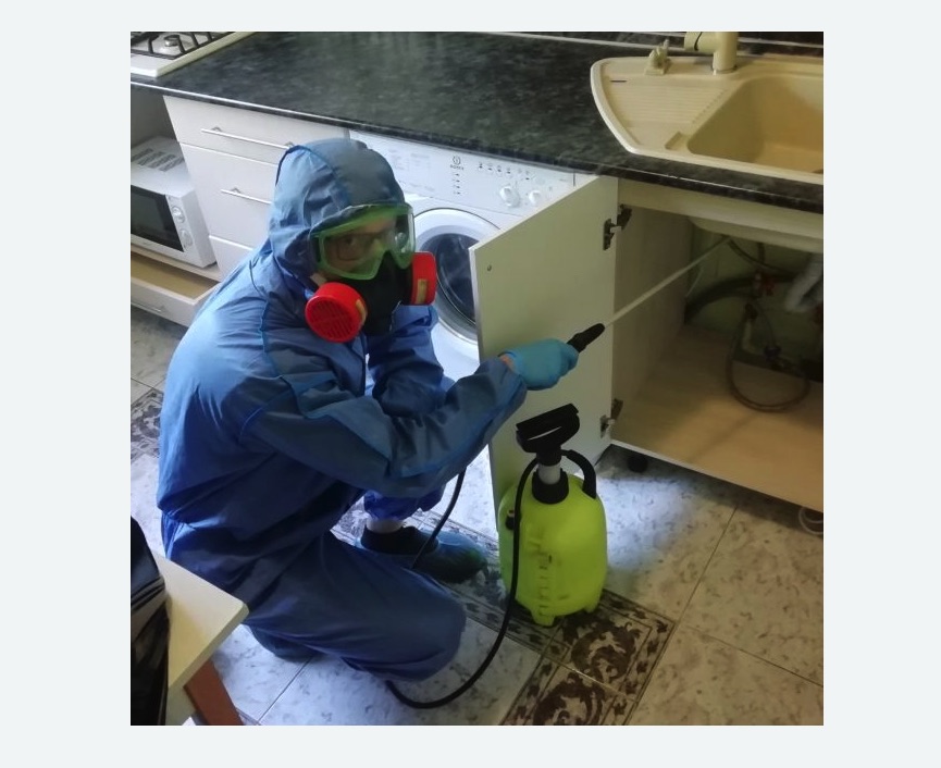 обработка от муравьев в квартире в Катав-Ивановске