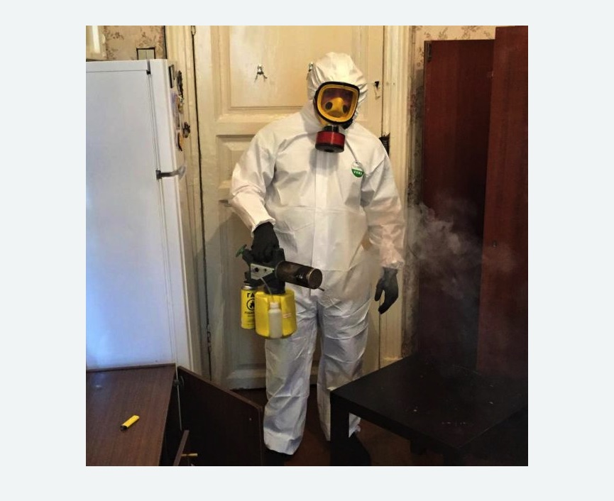 уничтожение муравьев в квартире в Катав-Ивановске